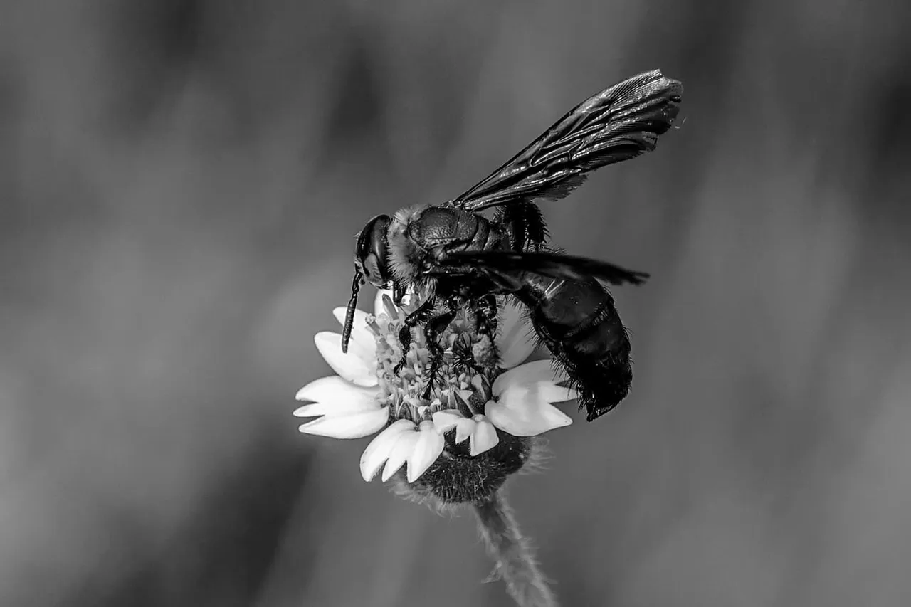 IMG_3971+.jpg
