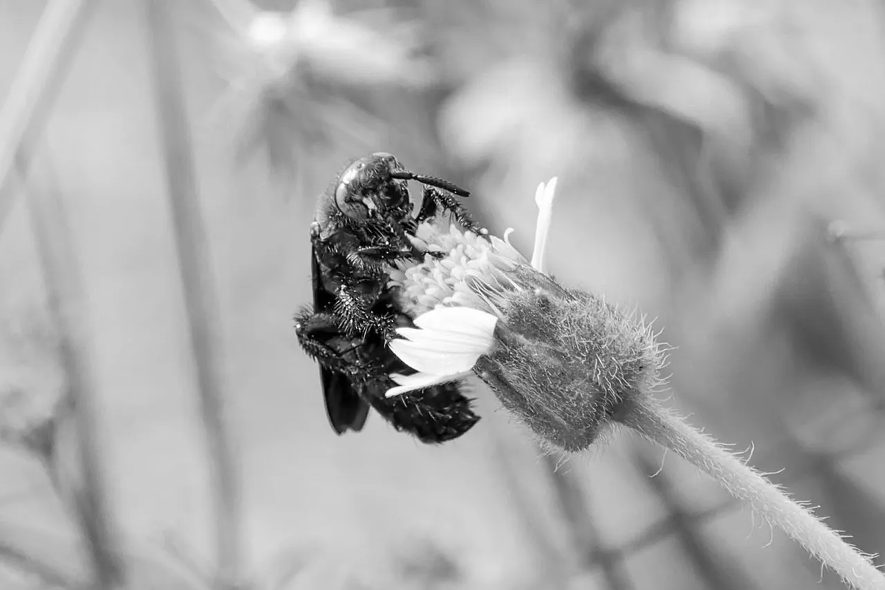 IMG_3974+.jpg