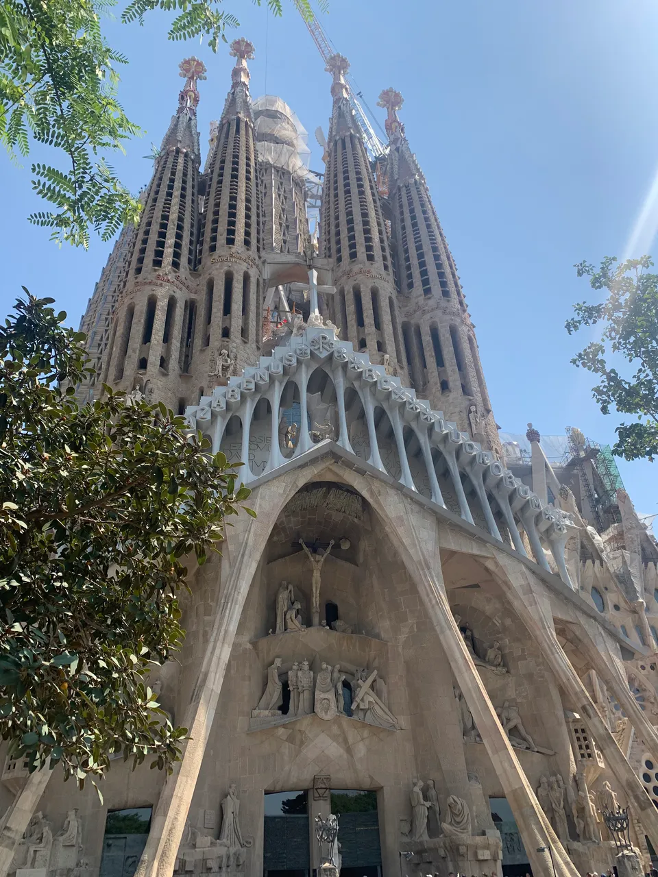 IMG_1849.jpeg