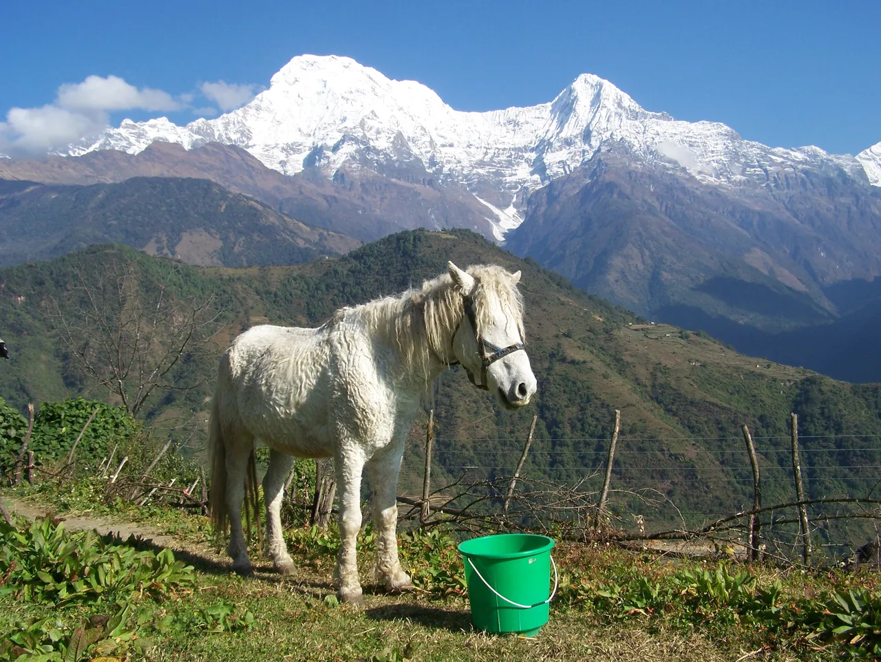 "mountain2.jpg"