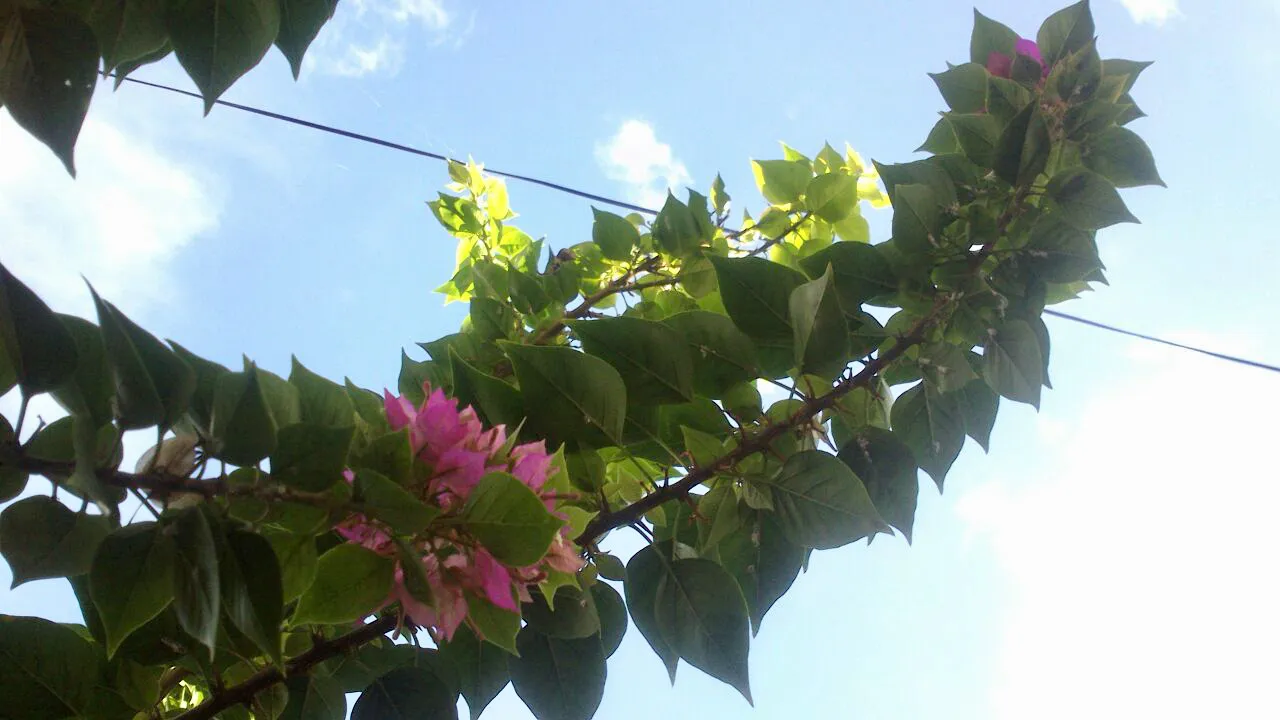 IMG_8459.jpeg