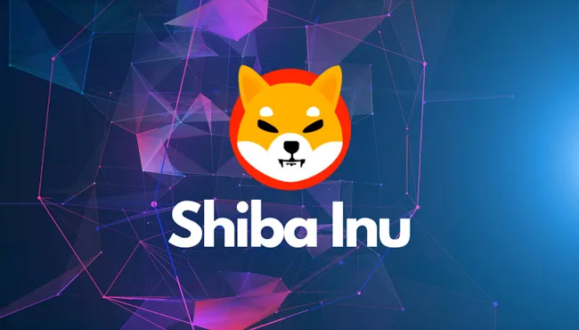 shiba-inu.jpg