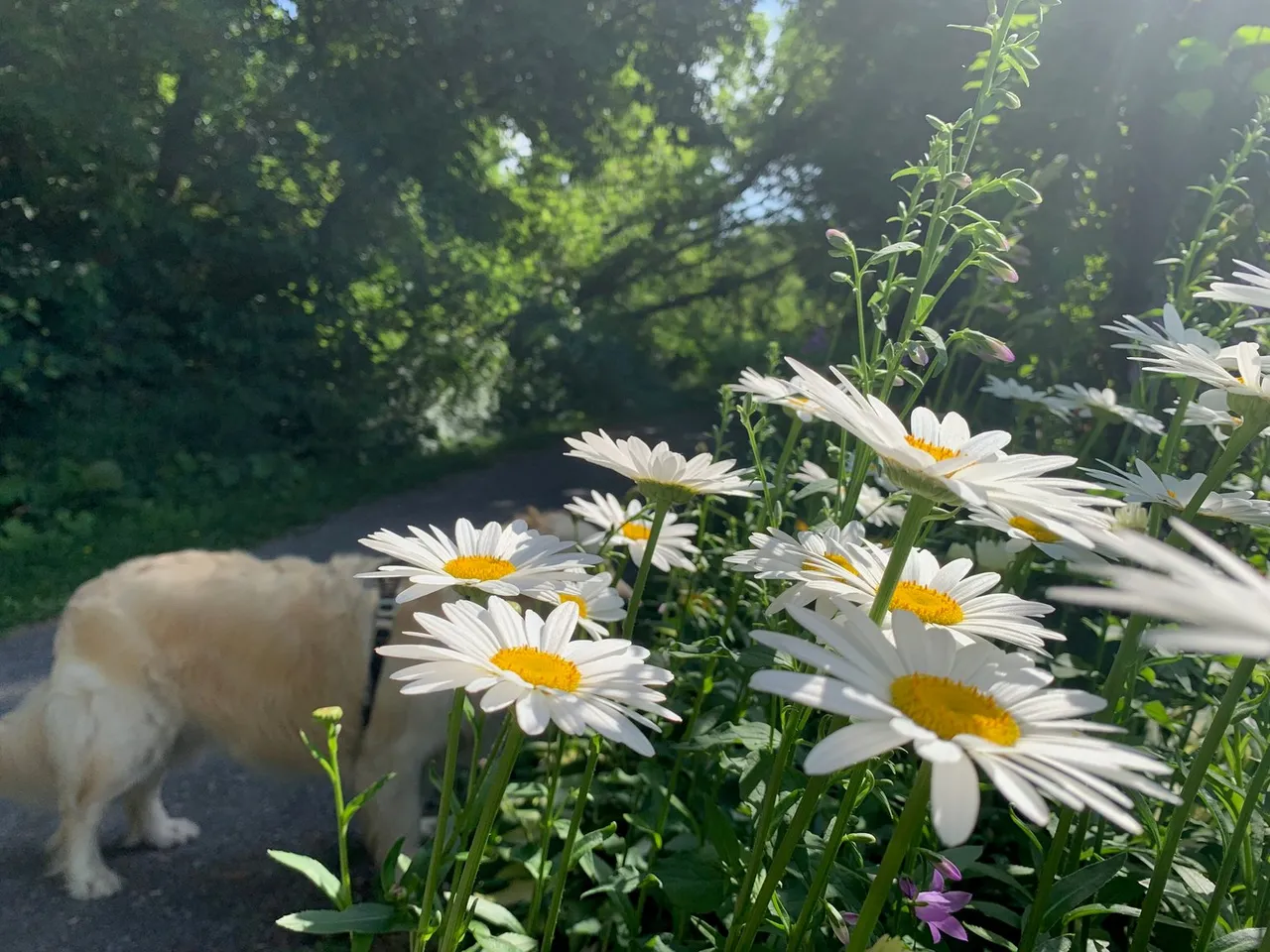 IMG_5632.jpeg