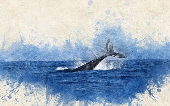 whale-550.jpg