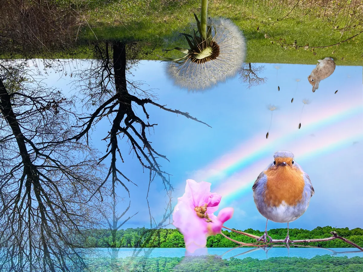 comfusion.jpg