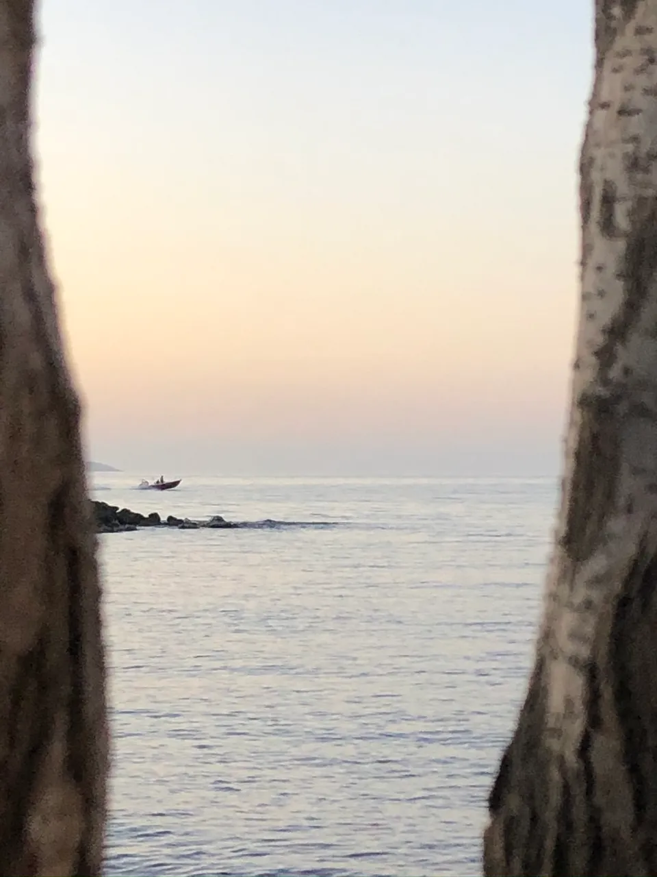IMG_4296.jpeg