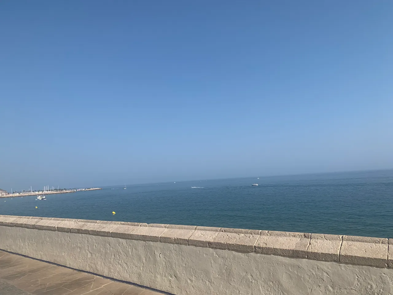 IMG_2044.jpeg