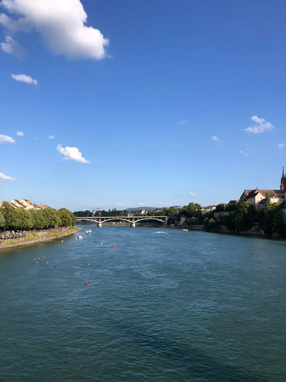 IMG_2487.jpeg