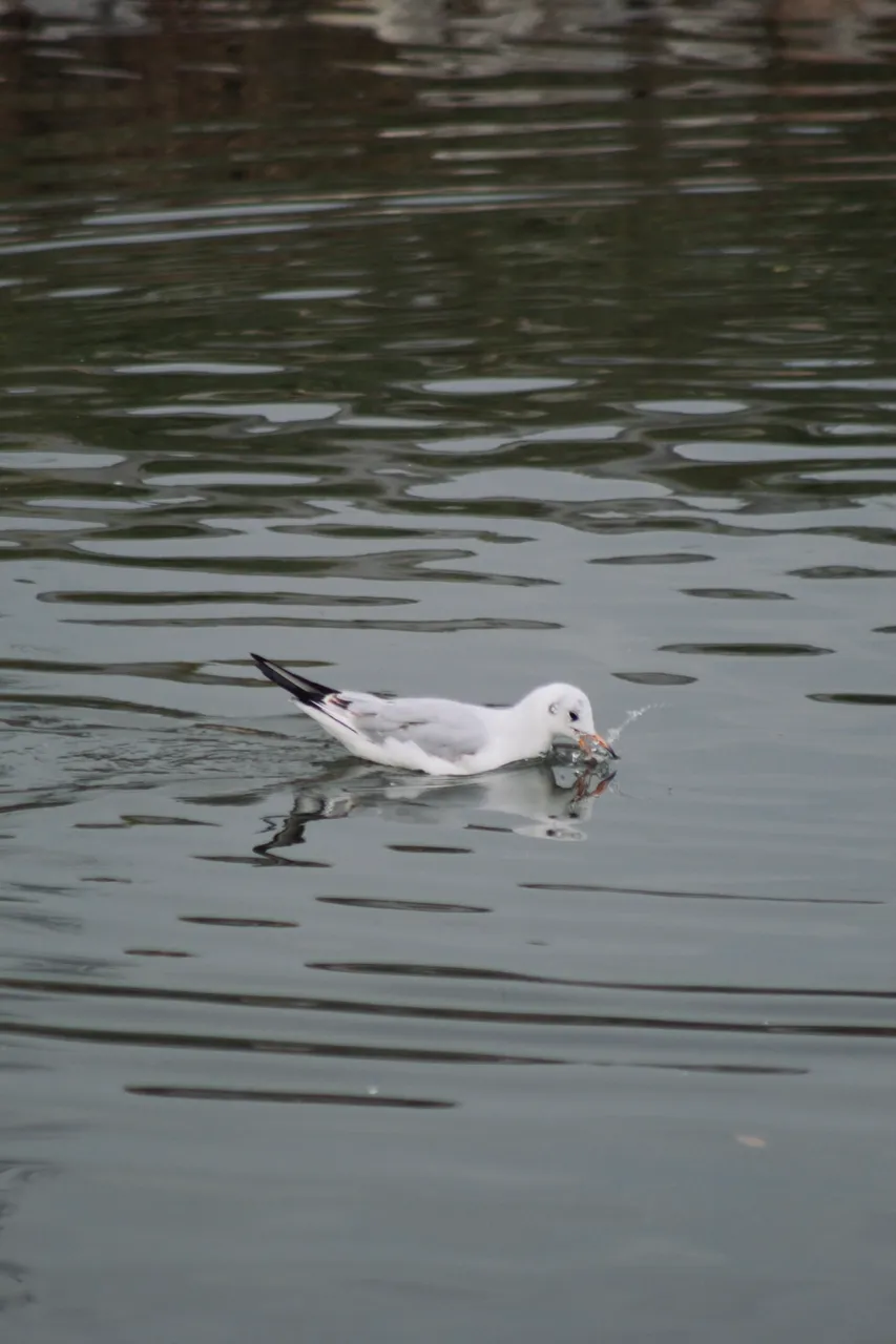 IMG_7612.jpeg