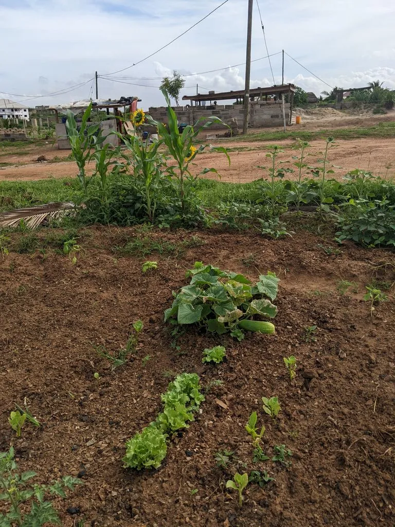 Farm 17.jpg