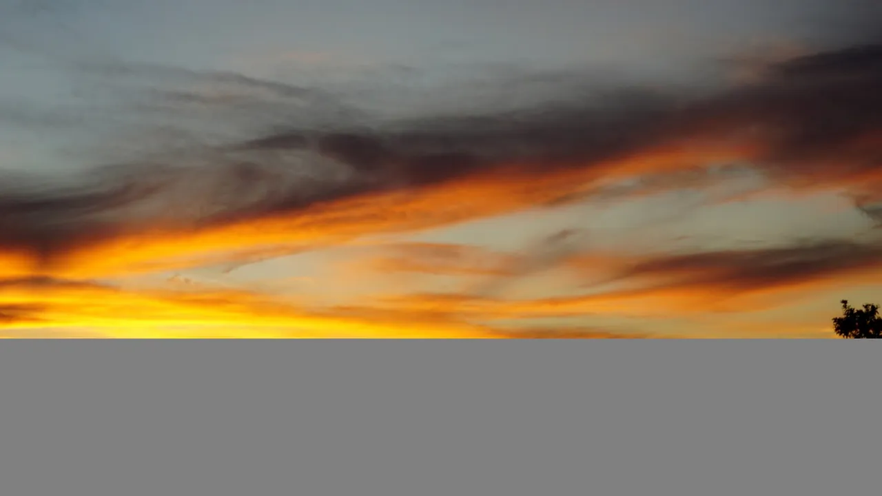 DSC08698a.JPG