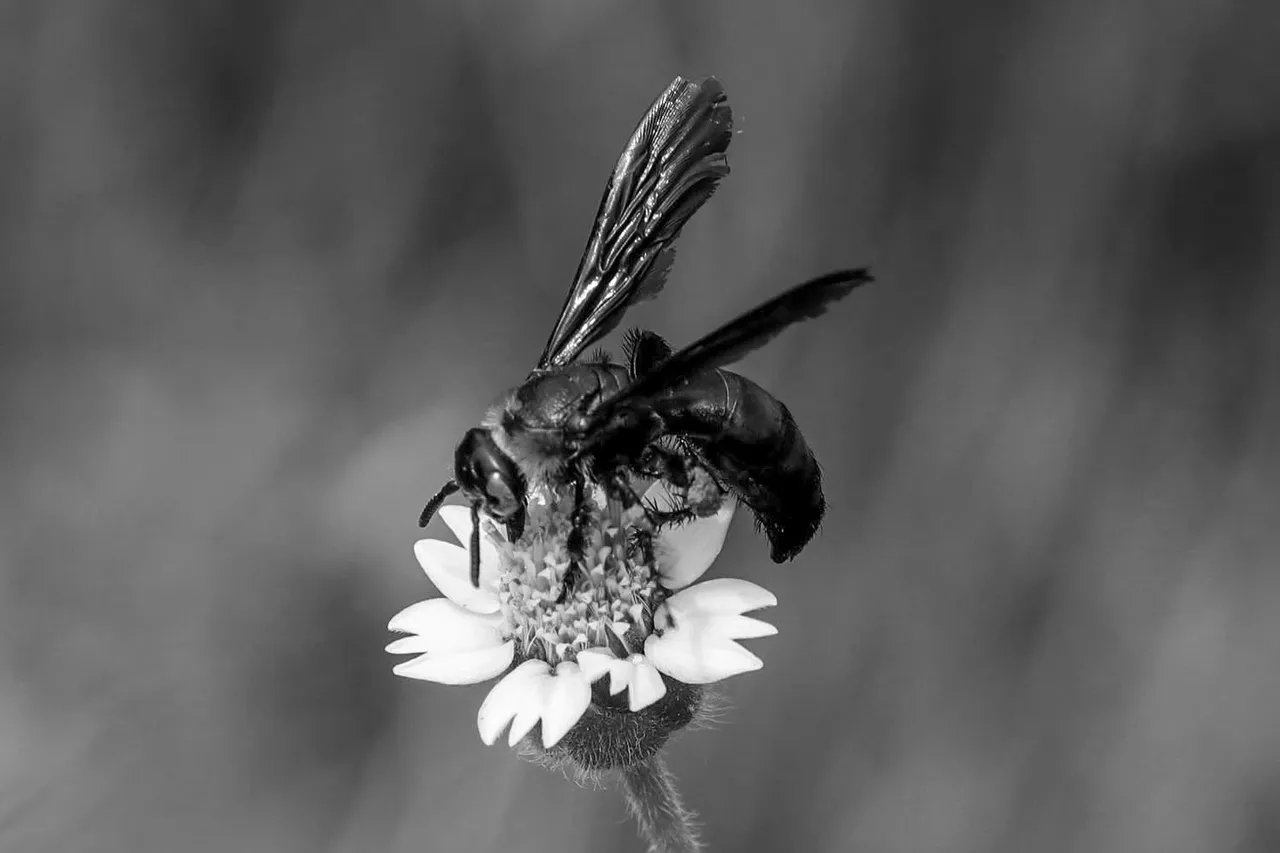 IMG_3972+.jpg