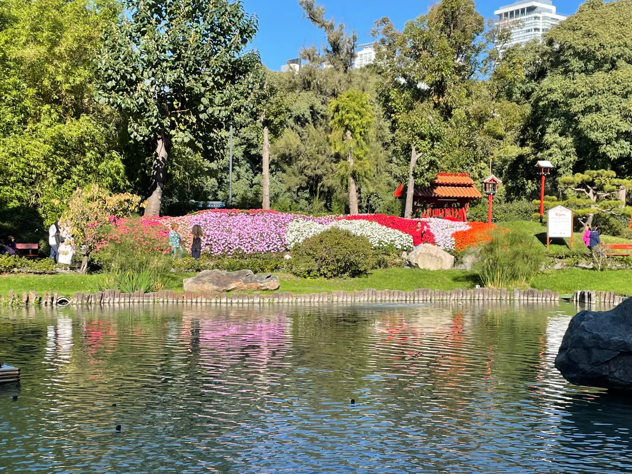 IMG_7813.jpeg