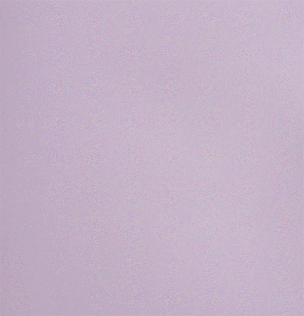 vero-leal.gif