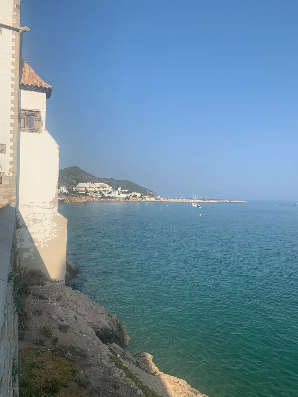 IMG_2046.jpeg