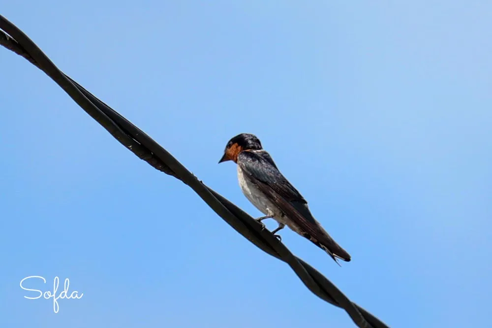 IMG_3810+.jpg