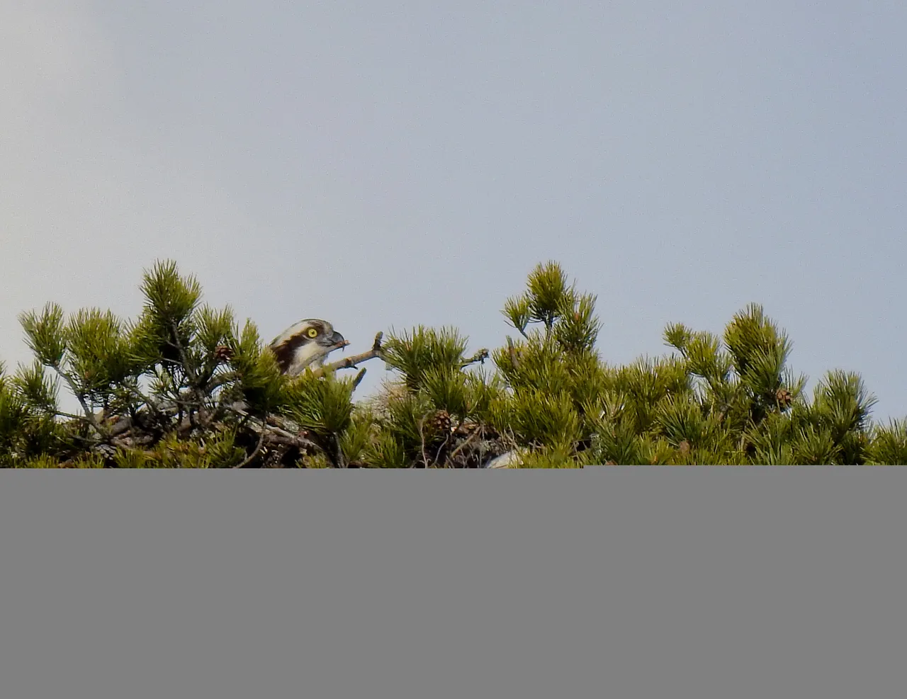 DSCN57814.jpg