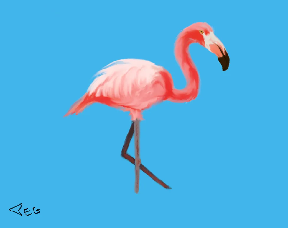 Flamingo2.PNG