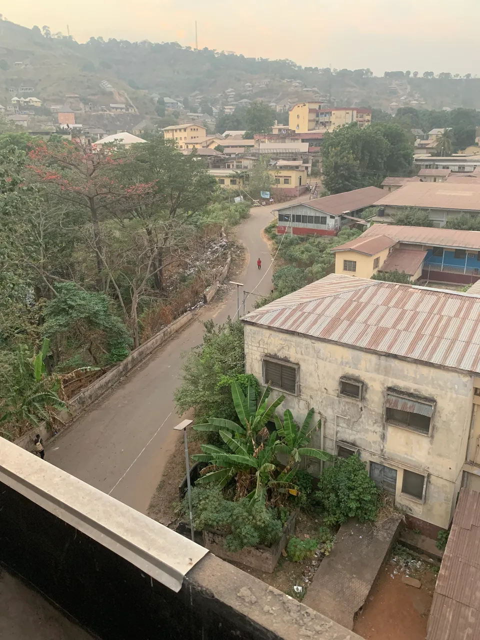 IMG_2037.jpeg