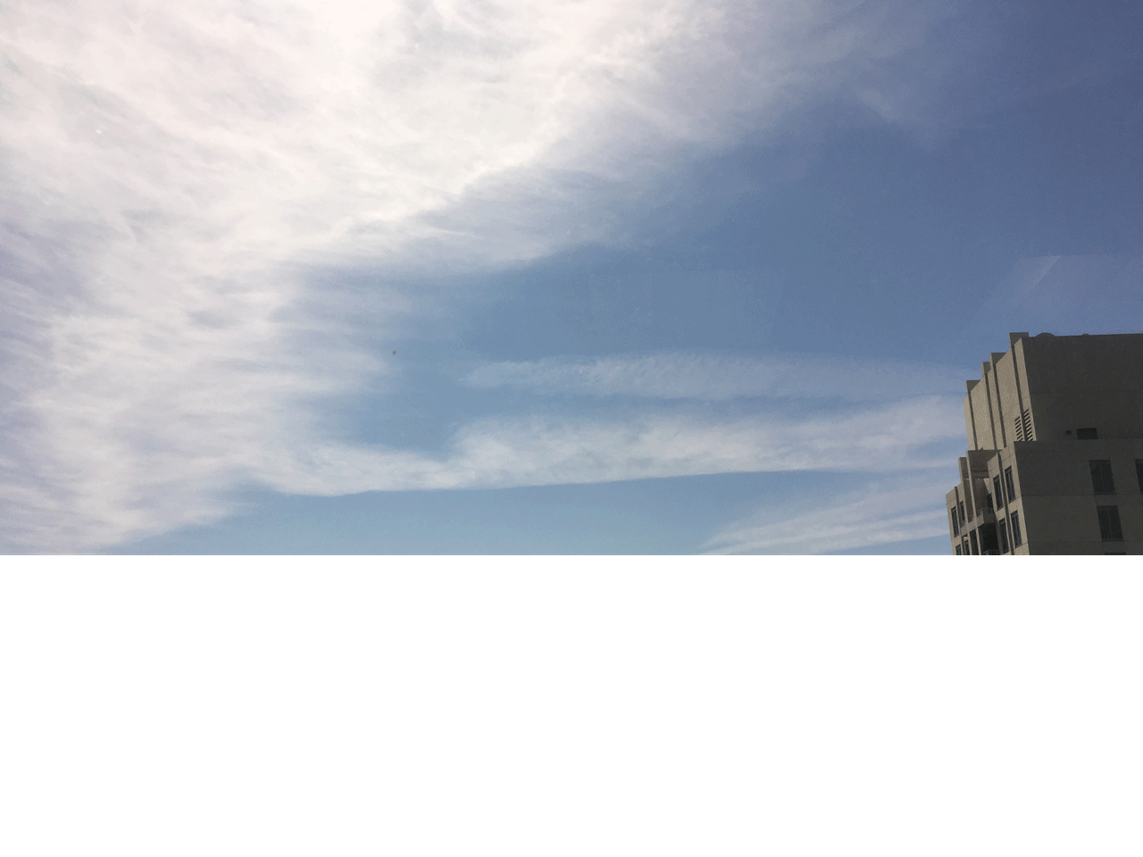 IMG_9132b.gif