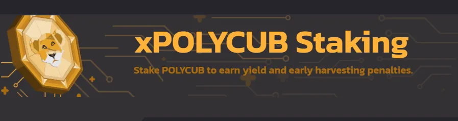 xpolycub1.png