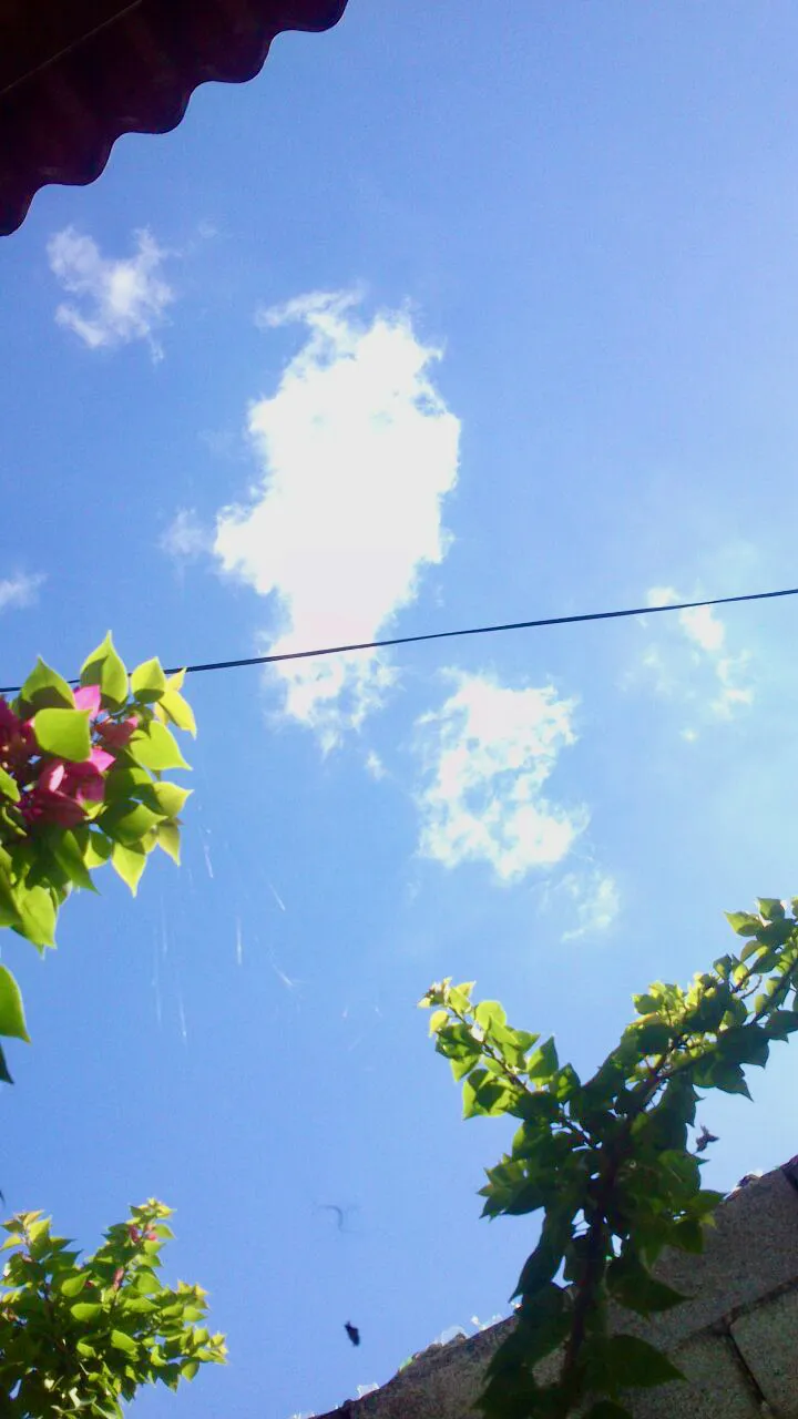 IMG_8451.jpeg