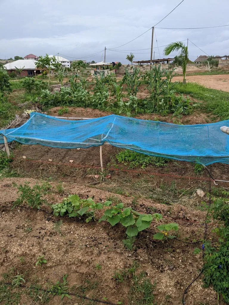 Farm 14.jpg