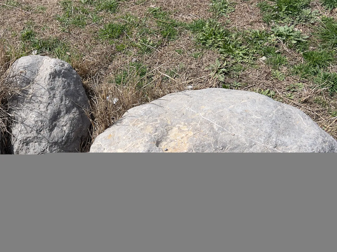 IMG_0563.jpeg