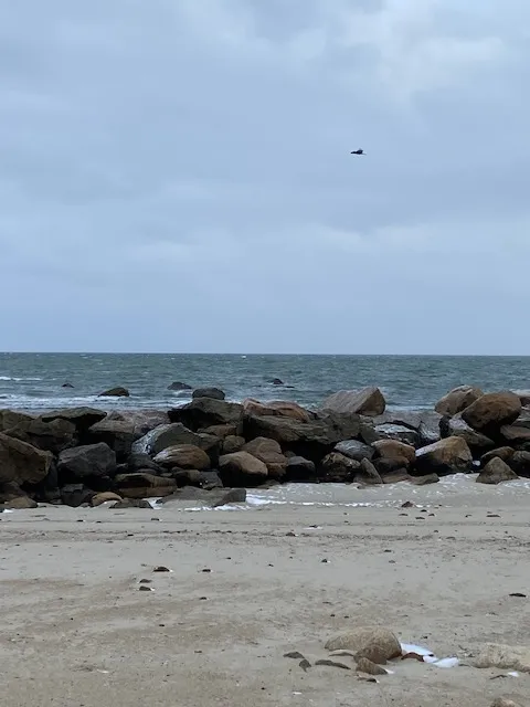 boulders2.jpg