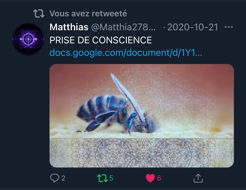 IMG_0743.JPEG