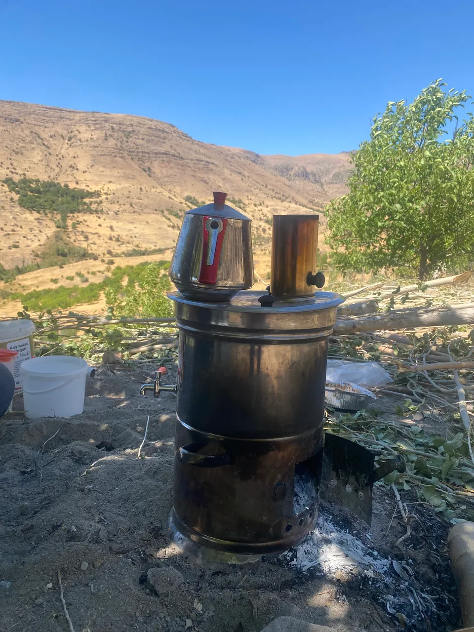 IMG_6062.jpeg