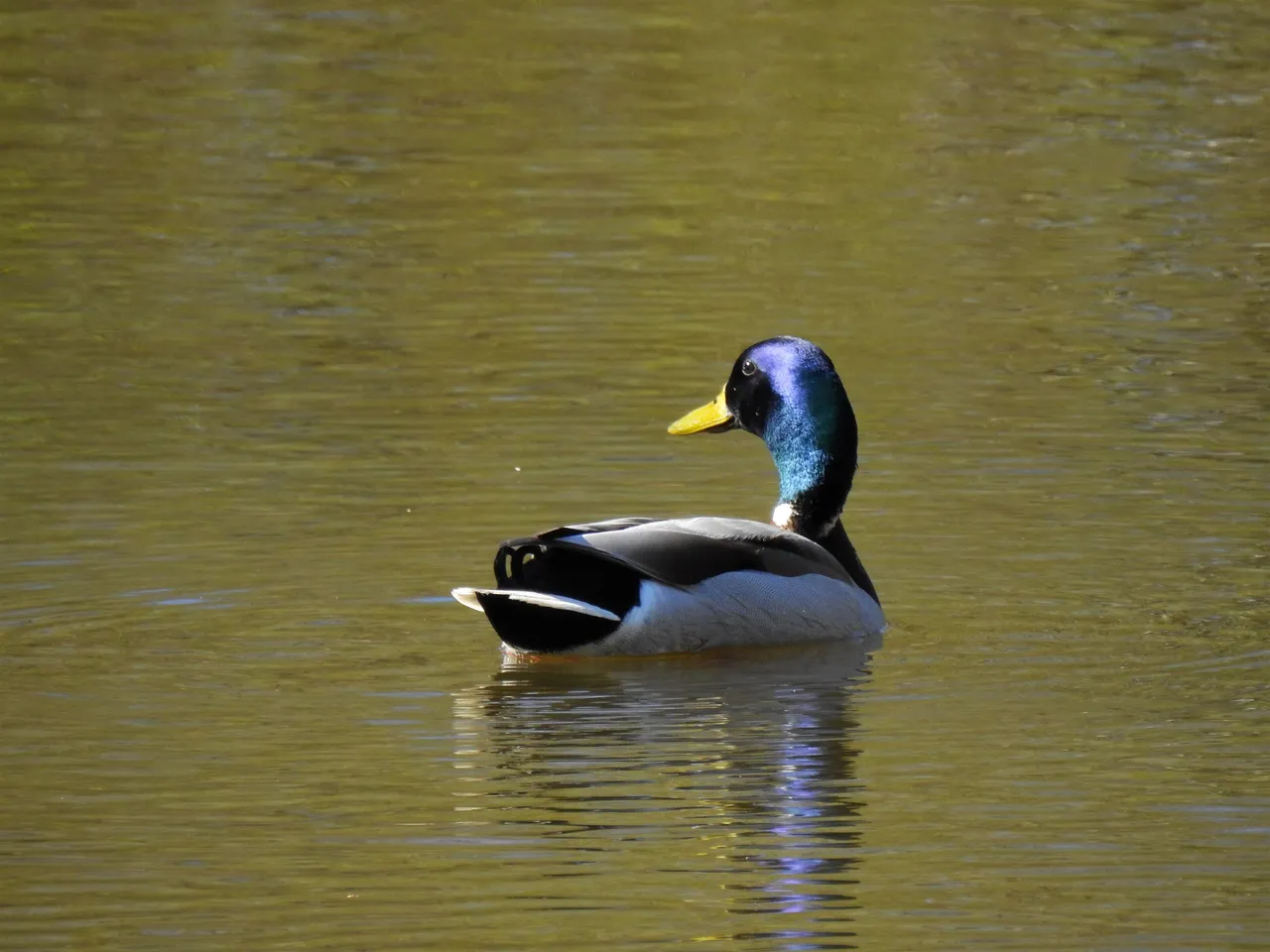 DSCN56152.jpg