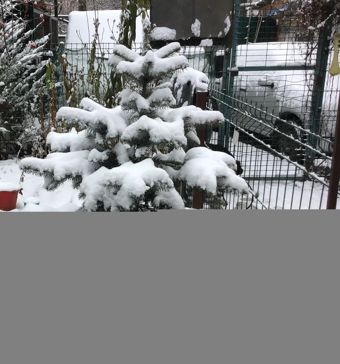 IMG_1056.jpeg