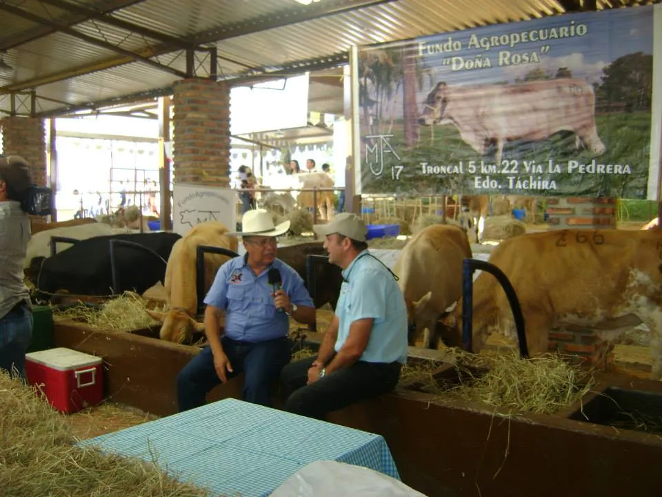 Feria 9.jpg