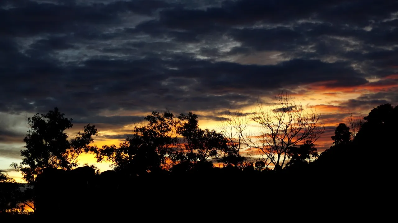 DSC07546b.jpg