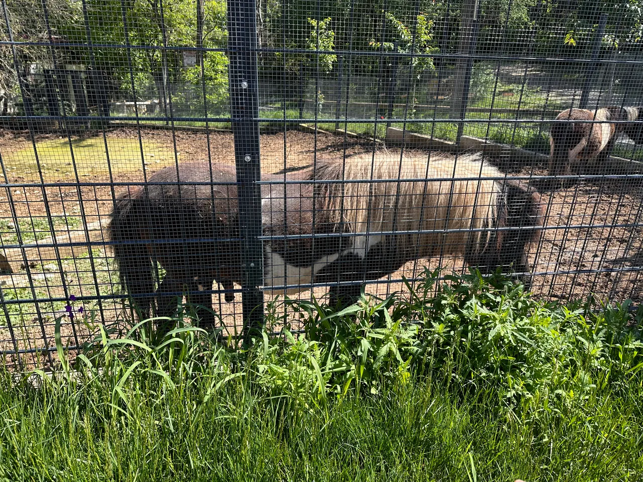 IMG_8645.jpeg