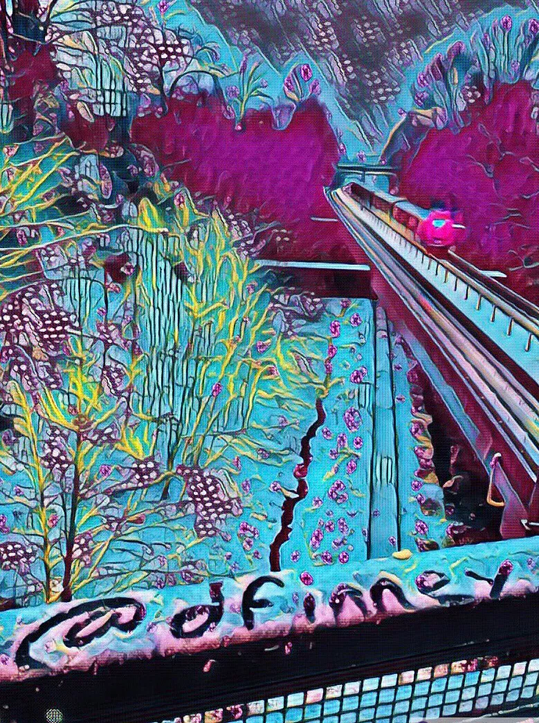 IMG_0818.jpeg
