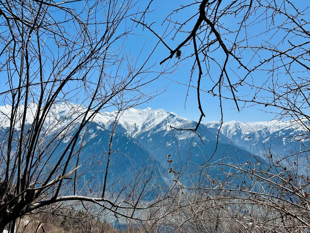 IMG_1106.jpeg