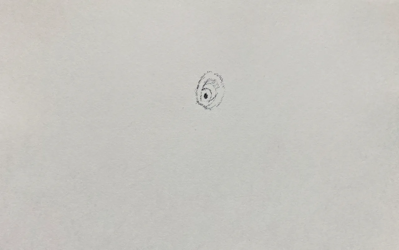 IMG_4726.jpeg