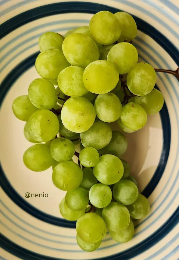 grapes-02.jpg