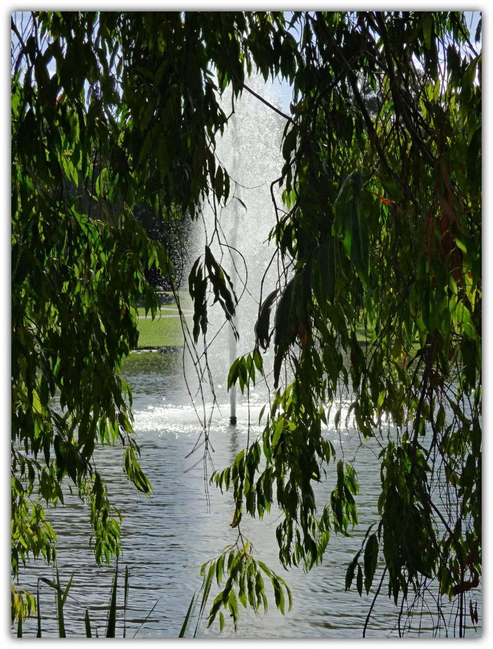 LAKE 34.jpg