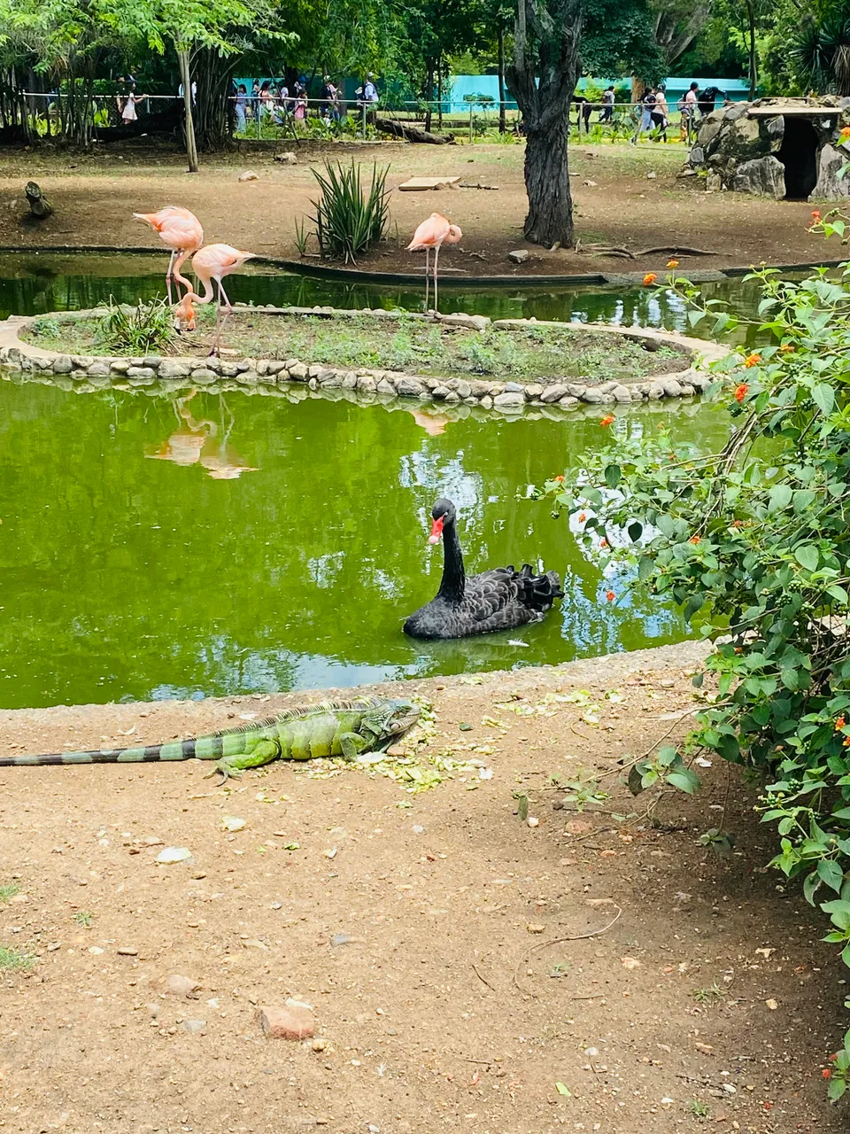 IMG_8902.jpeg