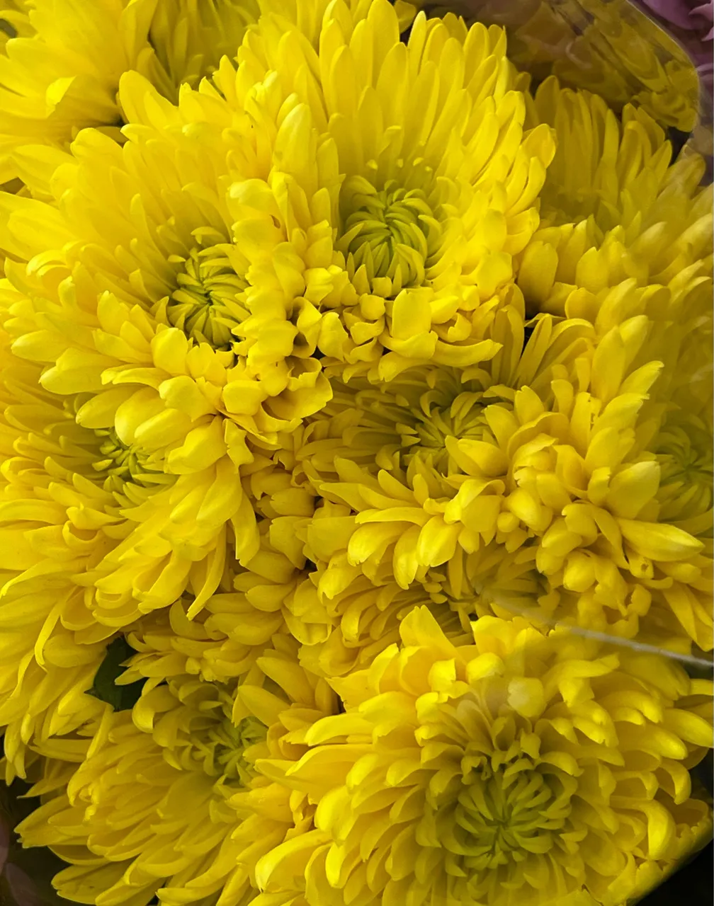 IMG_3068.jpeg