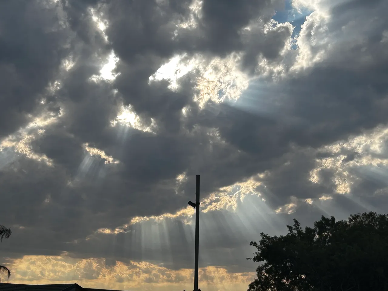 IMG_2835.jpeg