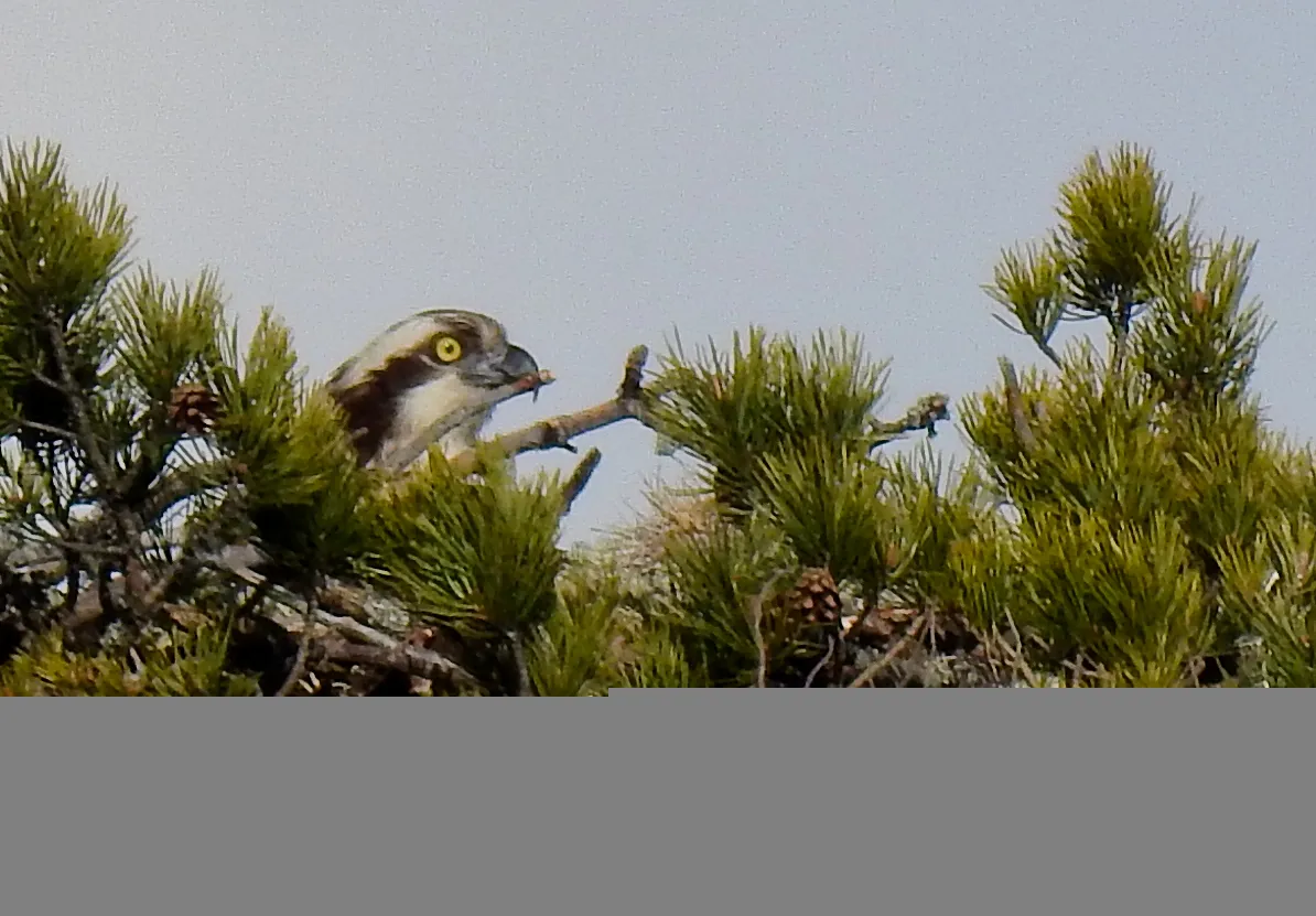 DSCN57816.jpg