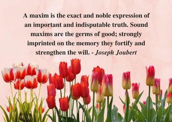 Maxims 3.jpg
