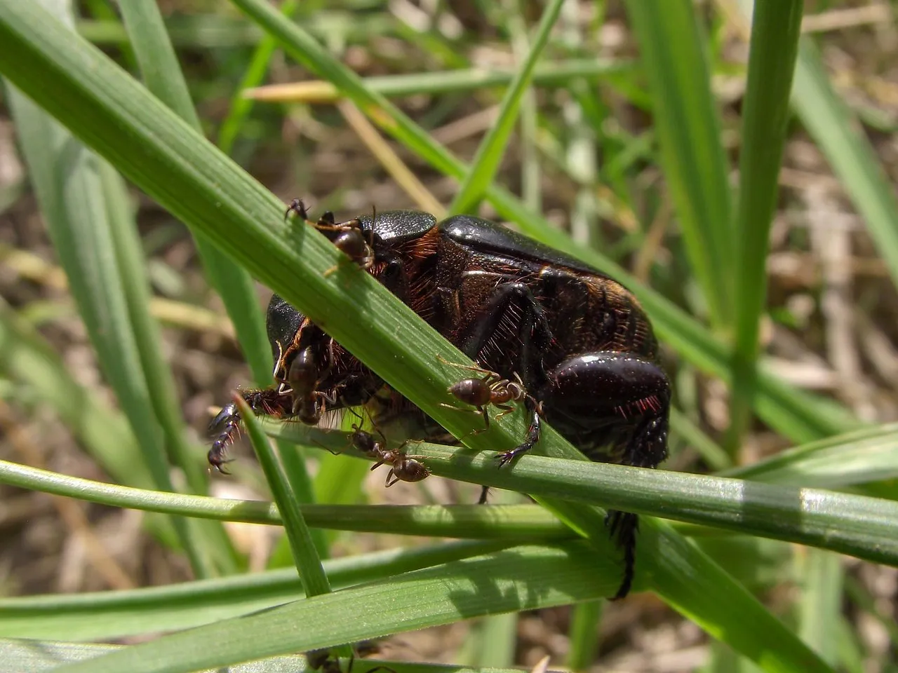 DSCF7769-2.jpg