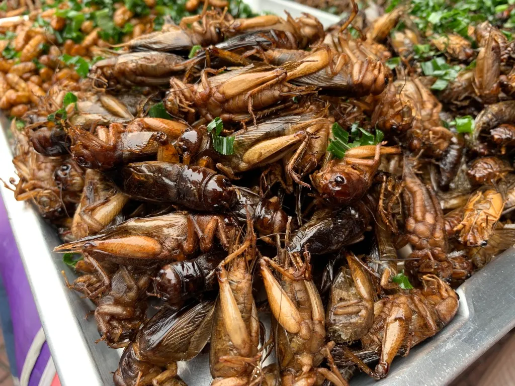 Some really different food in the streets of Bangkok