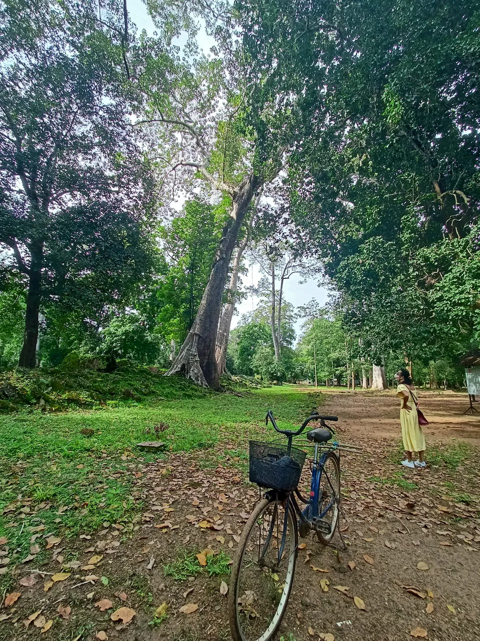 There are plenty of on and off-road trails for biking adventures