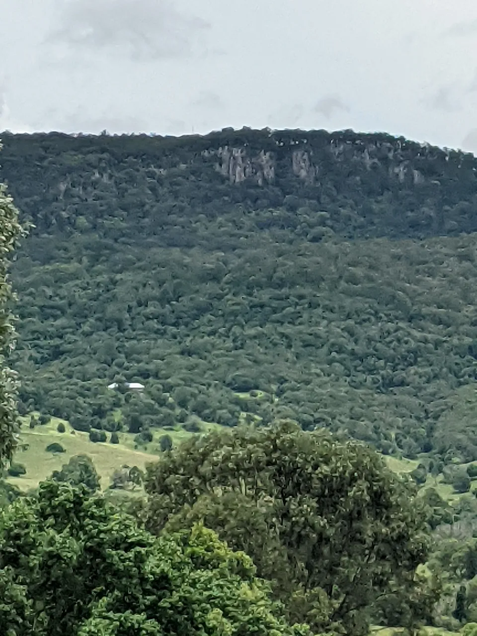 And that was it! Exploring Mount French, doing new walks, discovering Frog Buttress and it was time for our next destination. Here you can just make out the treed gully, from the rock climbing area photos above, in the middle of the rock face.